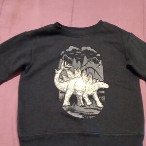 Toddler sweatshirt